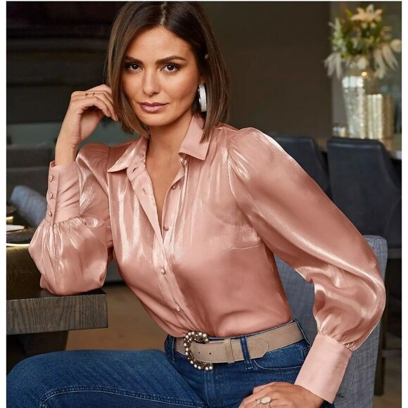 Boston Proper Organza Victoria Chic Drama Long Sleeve Button-Up Shirt Size Small - Picture 1 of 11